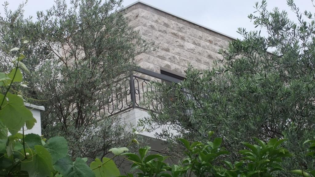 Apartments Minja Nerin Petrovac Exterior foto